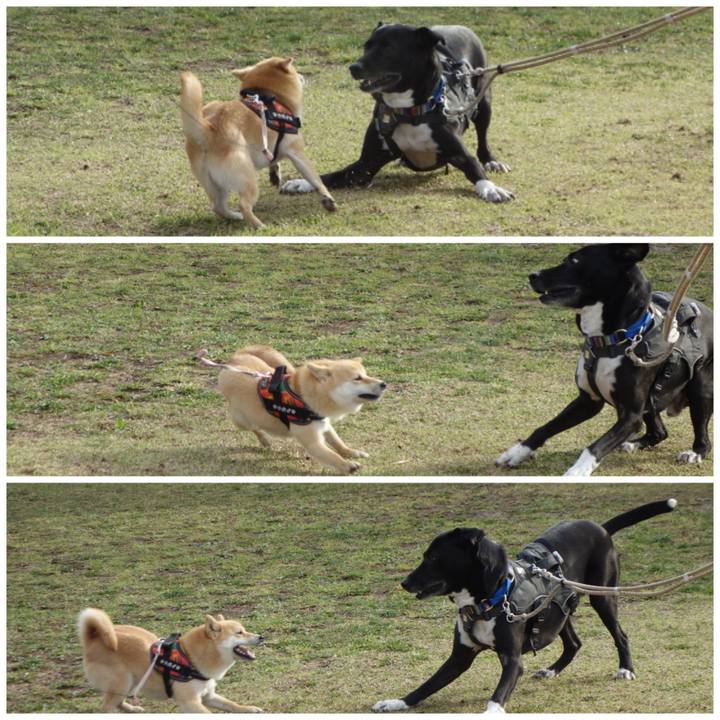 Edbd308a 4f2f 4921 b046 e48e25fea15d 1647995781447