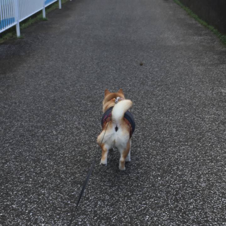 Edbd521b 7eec 4de5 a936 70d07559ac44 1542682155386