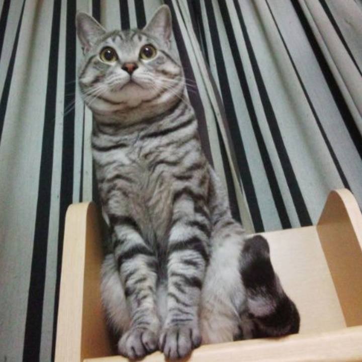 Edbd7d8d 0428 4239 8d7b 21319011f3bd 1666273523214