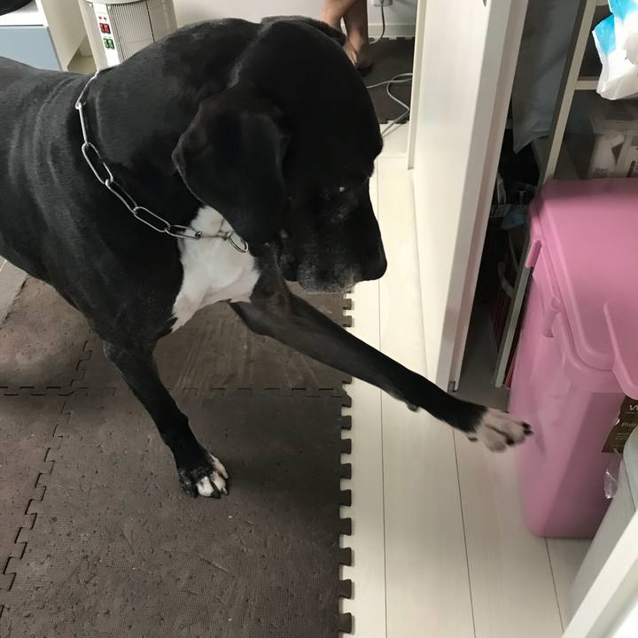 Edbd8099 35db 40f5 91b9 8cce8b691810 1510612758222