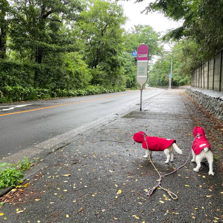 Edbdb3a1 dc0a 4924 ab42 b8c15bed70a0 1688943593963