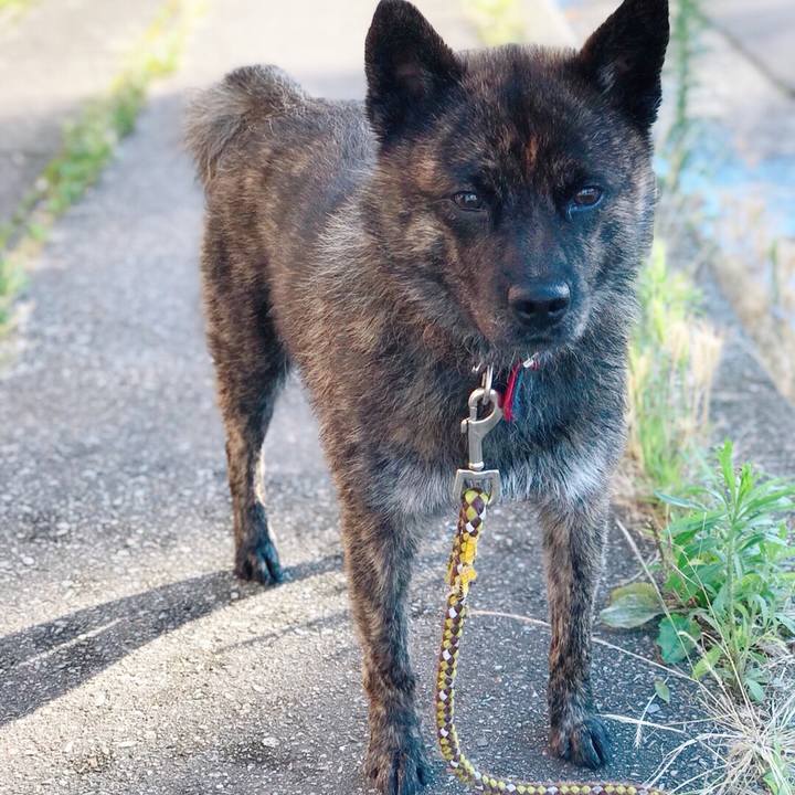 Edbdce88 5930 47a8 a3ad 2b6417844b21 1531045781562