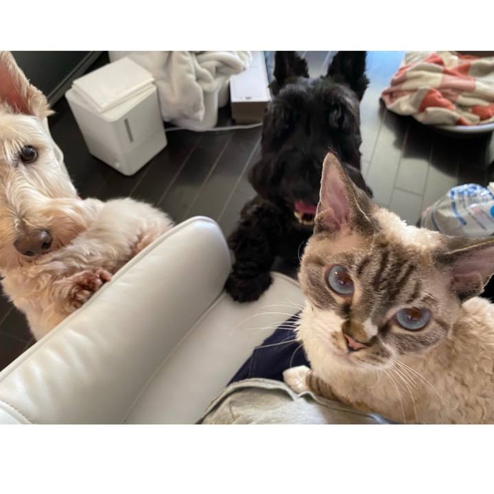 Edbdead5 a99b 4251 9c91 0374c9238331 1621065113010