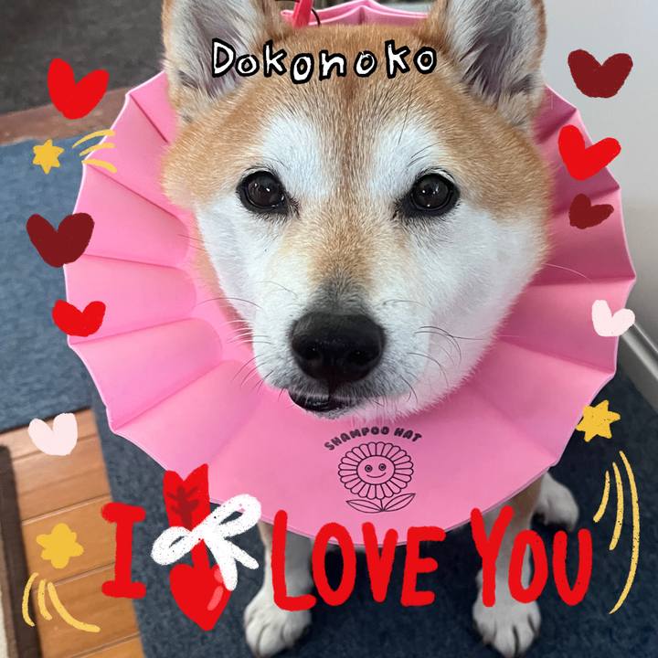 Edbdf11c 483f 46fe 9dfc 9e4955576645 1706755966097