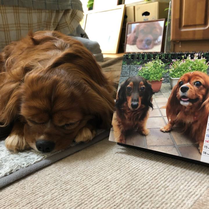 Edbdf907 6d2f 4b3c b7f9 a57f7f44f0cb 1635718820333