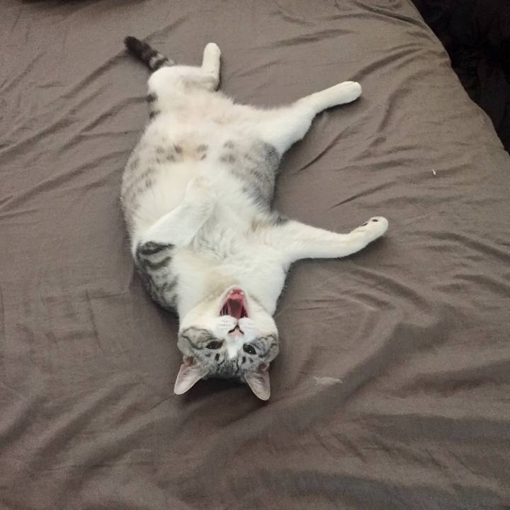 Edbe0724 a243 4f07 84a4 9d399ac1df93 1532320889807