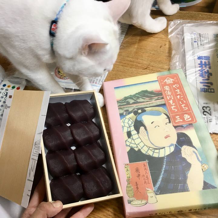 Edbe0d12 1b24 4686 a731 26a5f3a29852 1542980014128