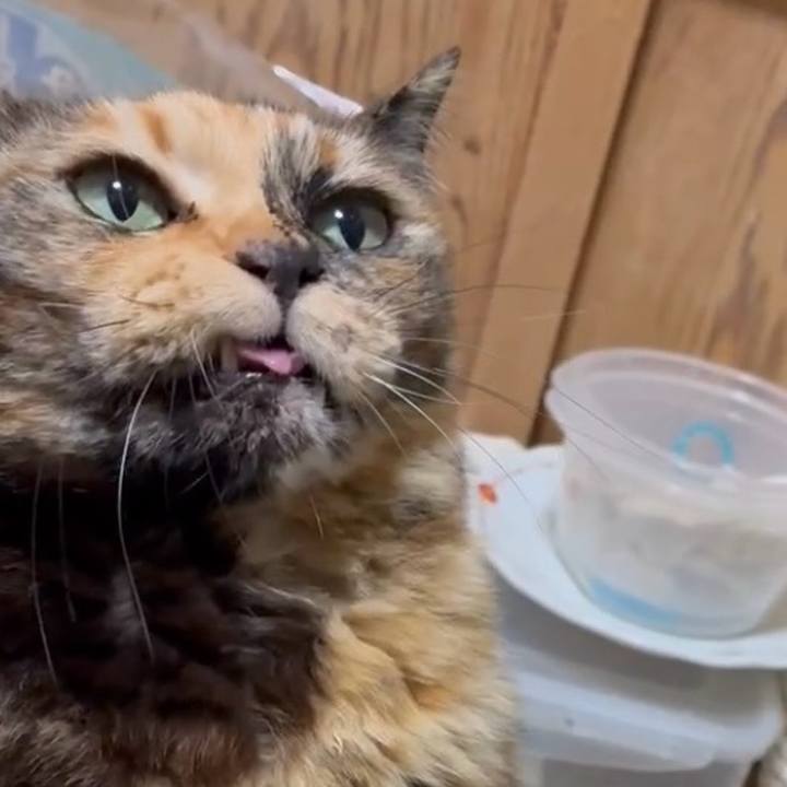 Edbe20bb 269e 4aba aa1c 6fb40490fd94 1773523656974