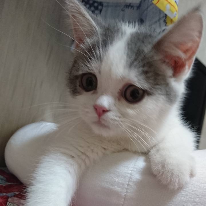 Edbe2490 49a4 401e aa91 a09b5f15e0f4 1615286758764