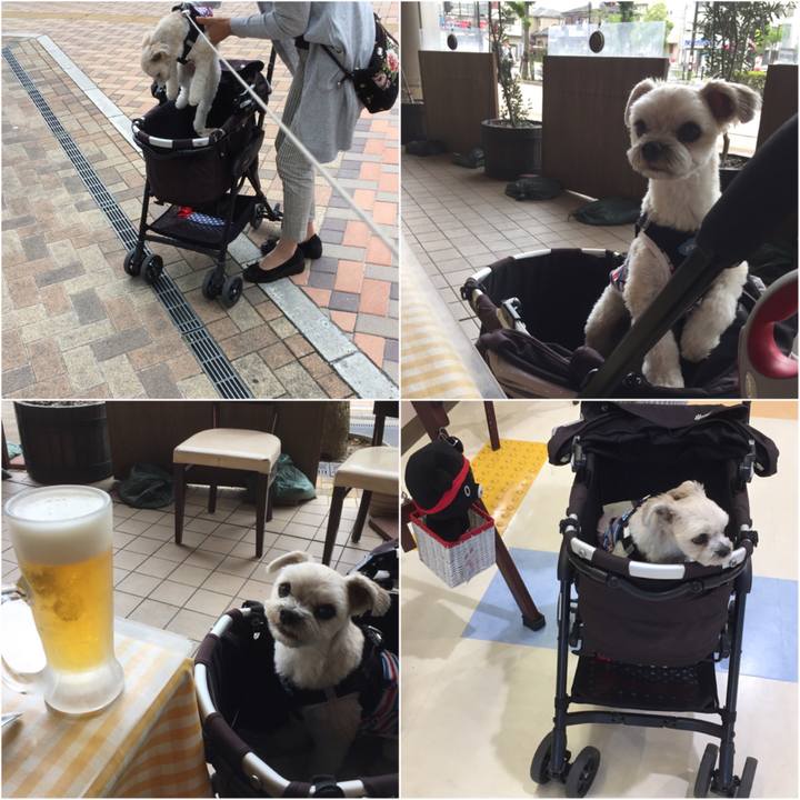 Edbe2d67 1910 498a 9d0e aa0ba6ae5d63 1529215667227