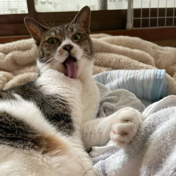 Edbe3349 033a 4cc8 a7ae 3203ede38184 1632791558474