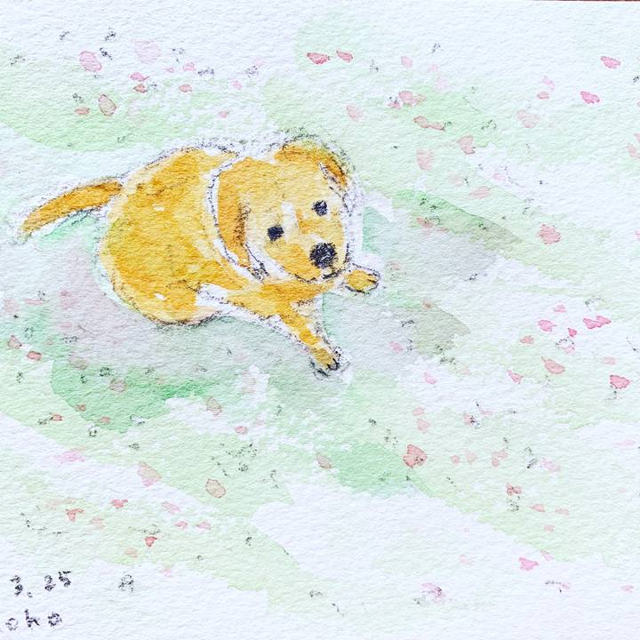 Edbe4acd 8ce3 428a 9c51 bd27e5781925 1585090928916