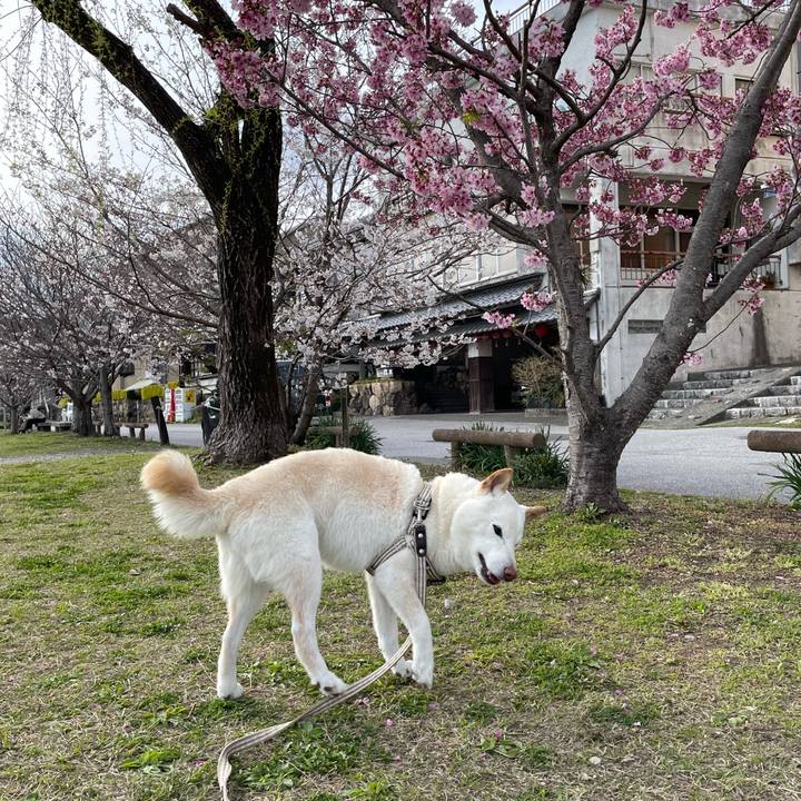 Edbe5dc7 3f36 4232 b8c2 f388f6bf3244 1648210482192