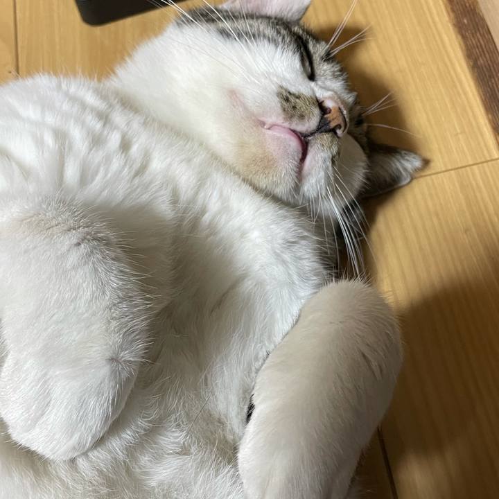 Edbe83ee bd3d 4ac2 b043 eaa80a6cd9c4 1632561694268