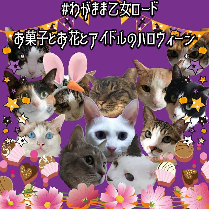 Edbeaa52 ca42 40ab 97e8 a51b24e5eed0 1567602212598