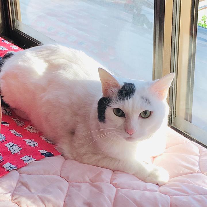 Edbeb538 e07d 423e 916e b198455e7e11 1589168664730