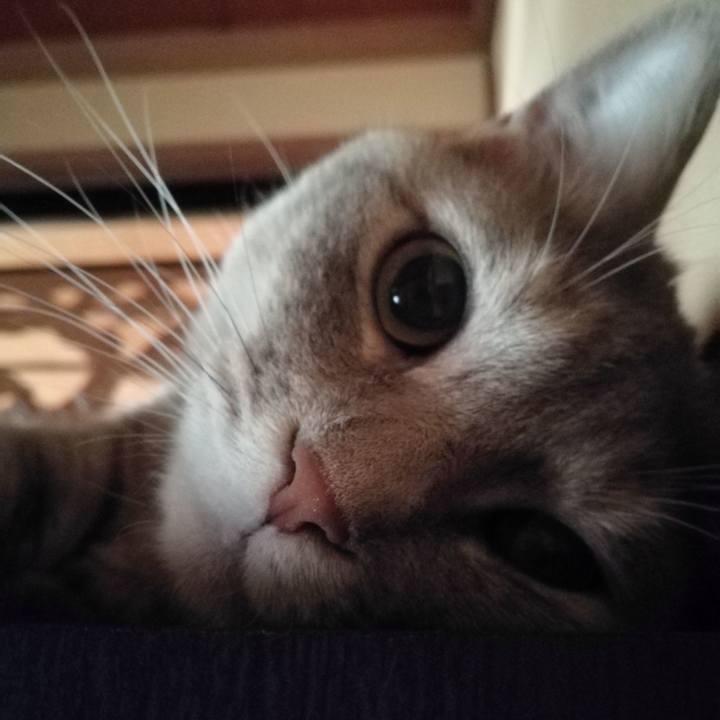 Edbf1266 26e4 421c b0e2 67d67597f4d5 1534806661080