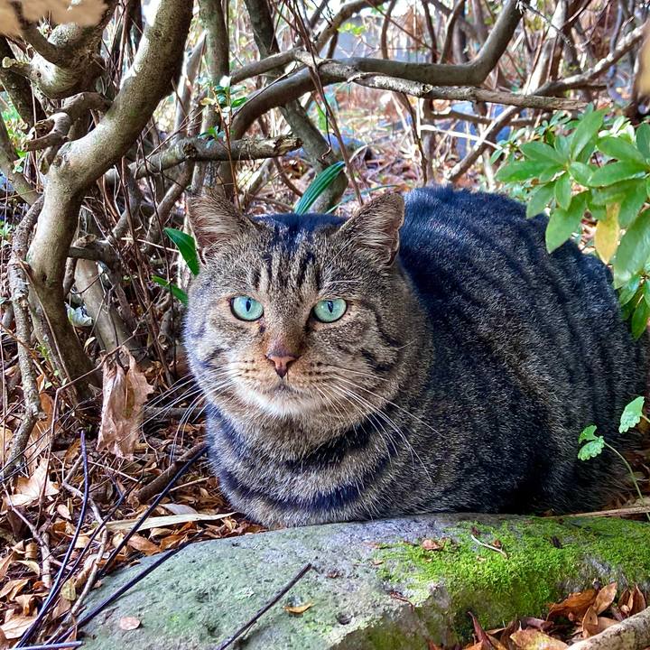 Edbf1524 ece4 461c 897b bb09160df06f 1670461321652