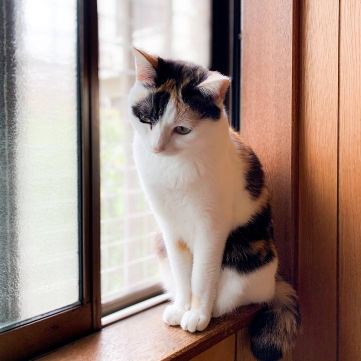 Edbfdc5e 8b29 41d2 88dc 0f0815b12188 1594520600602