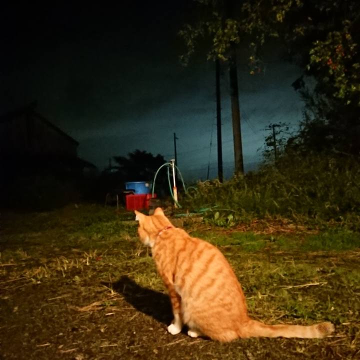 Edbffde1 b101 4486 982c 5d400f291a25 1602411376791