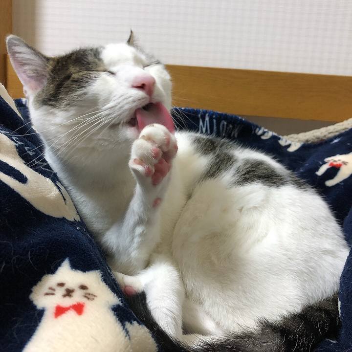 Edc00981 3128 48a2 a193 be04354317b7 1637848115593