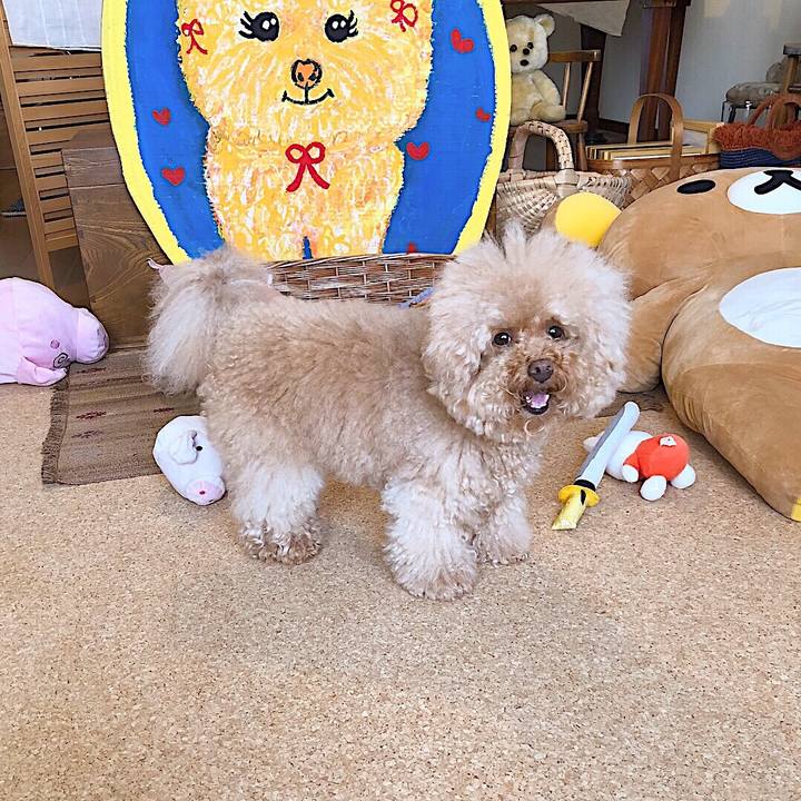 Edc021c9 d7d0 4550 8c49 374ea98ec4a6 1535531445406