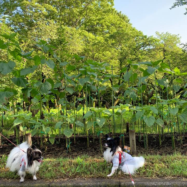 Edc03c4c e817 4133 96ce 8a3ff2bf1930 1564179417237