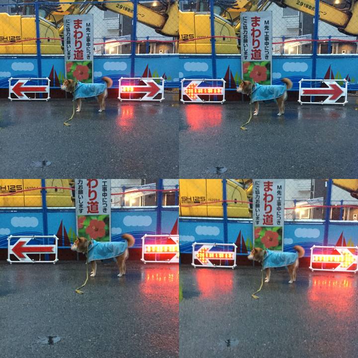 Edc041fb bd7e 4a43 a4a8 94151db805ce 1611824912085