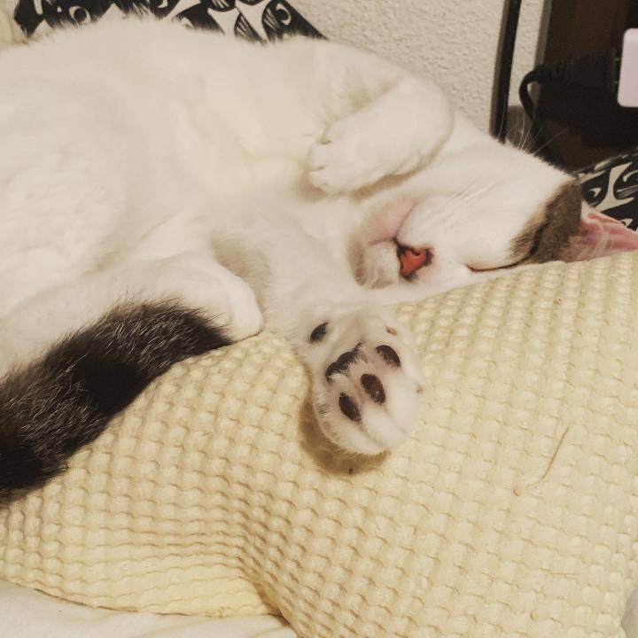 Edc04ad5 3f3d 4d32 8c00 2a20ebd1d232 1588781833889