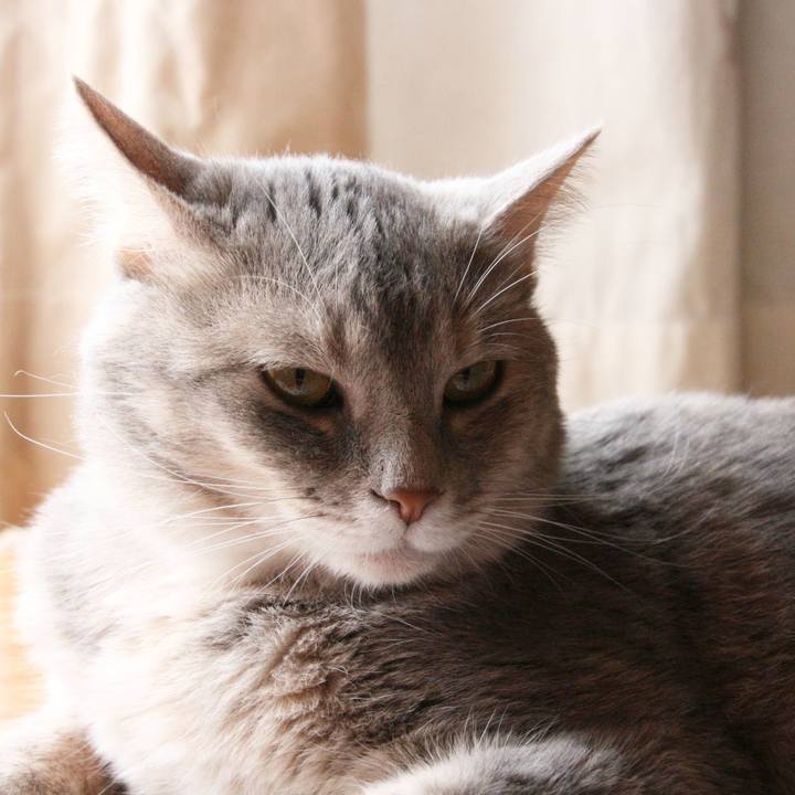 Edc05d59 4a15 4a83 93af 2b903284c470 1532248254150