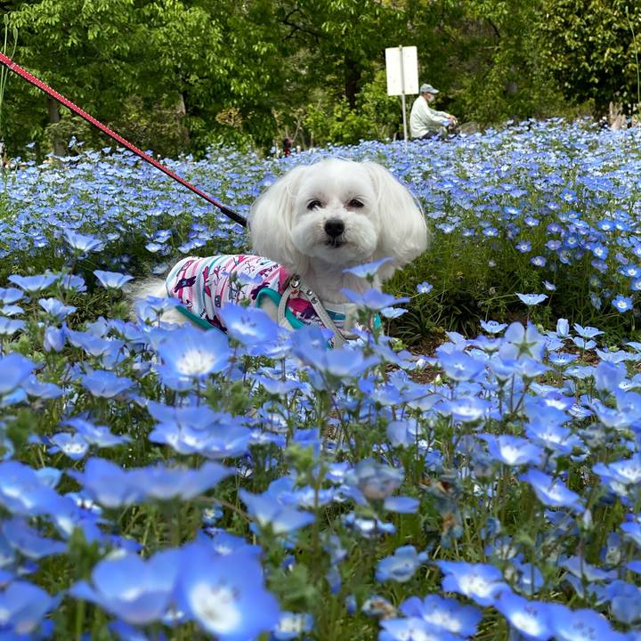 Edc05f0e 38b0 4a13 befb 8351938439d9 1619239501736