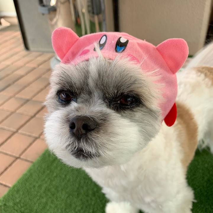 Edc0726d 1641 41e9 b3ce 3303c590d2b6 1548388614673