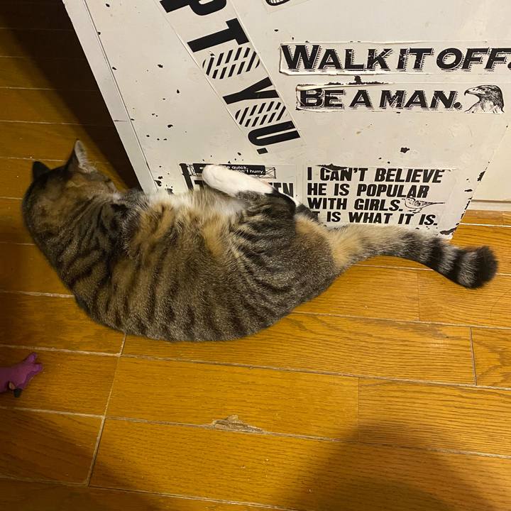 Edc08628 92b1 4a67 9c7f 13c772cfad1a 1639598476673