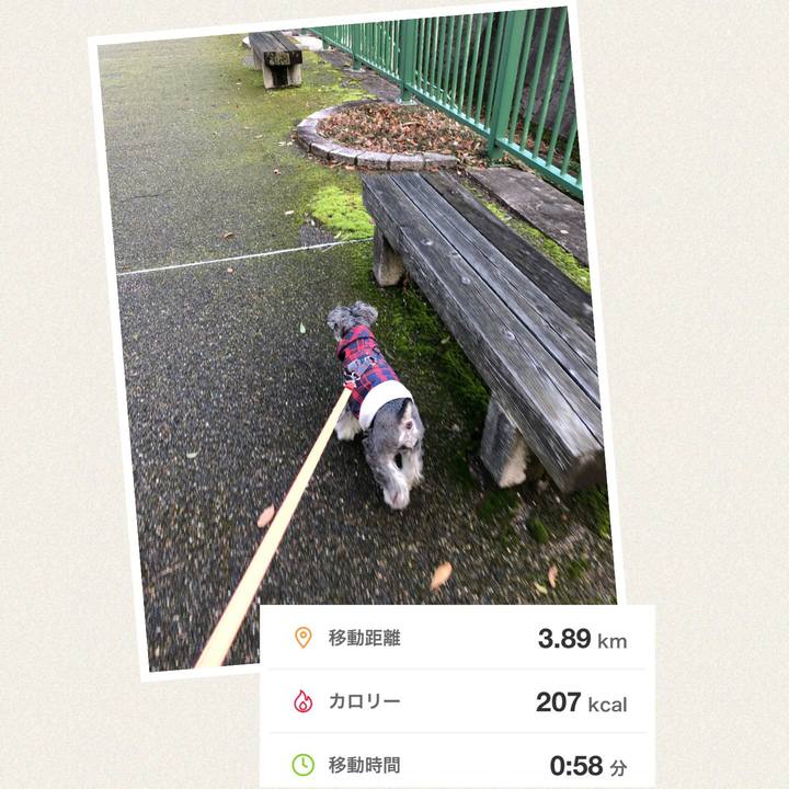 Edc09b6b 5cce 4682 a895 0bdbff3e7150 1670675192347