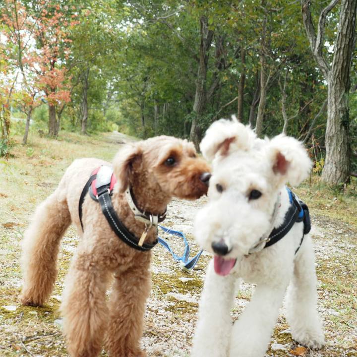 Edc0dc5b 2474 4d69 91bd 5e2aff4fb9bf 1533873714784