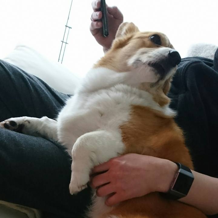 Edc0f91c bf75 42fc b51b ee05152a6f89 1547865936926