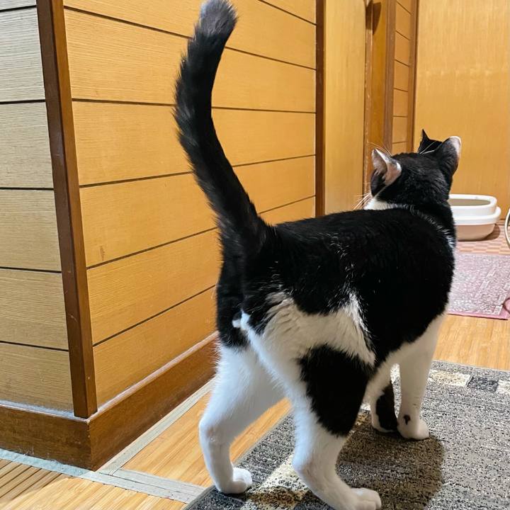 Edc178b2 7953 4f26 99d9 f40dfd48a4b2 1633918663947