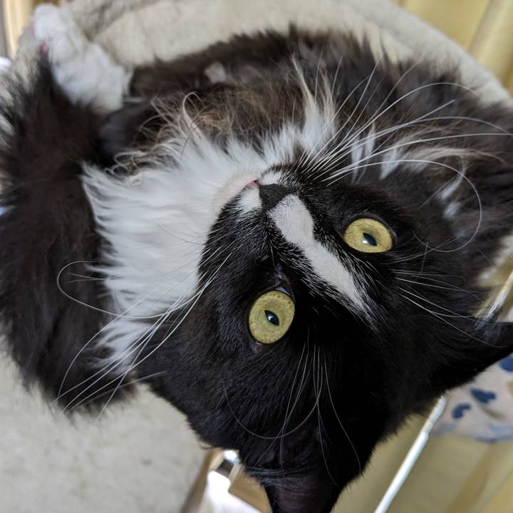 Edc1a5c4 50fb 465a 9fc1 5a49349ff823 1680915523345