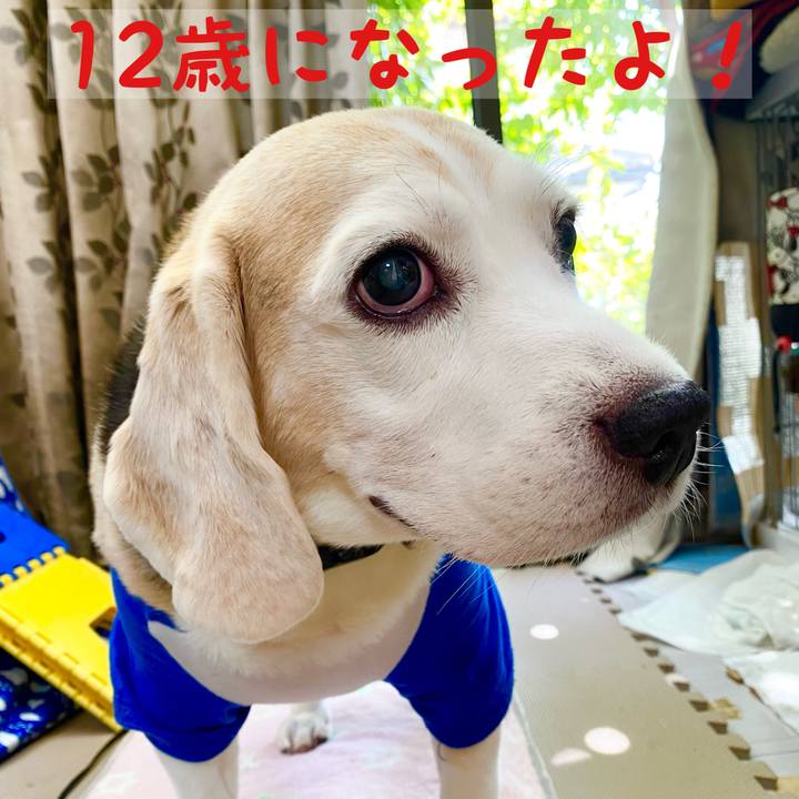 Edc1bbde 4f90 4e30 88aa e9a6ed91f85f 1664862098292