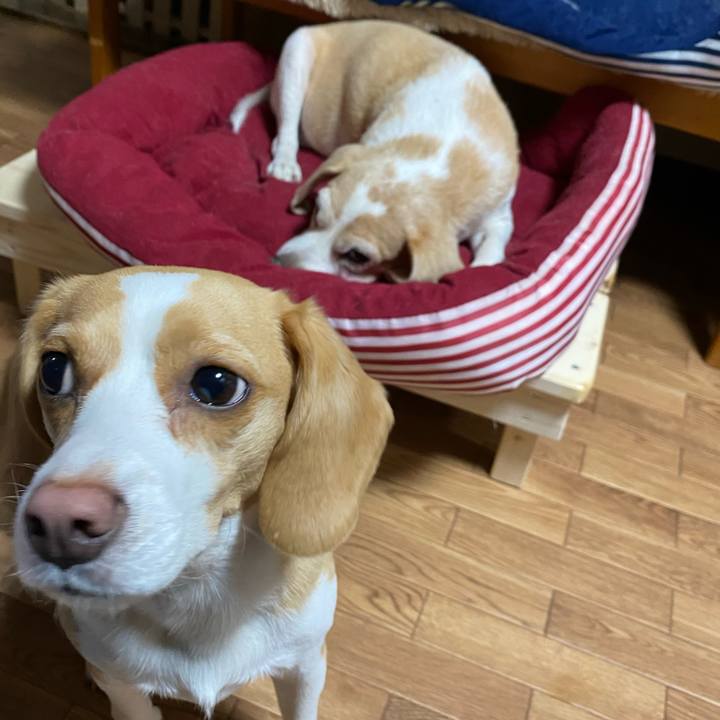 Edc1f14d d7fa 4ab9 96db d0d4f5942ca4 1589107110179