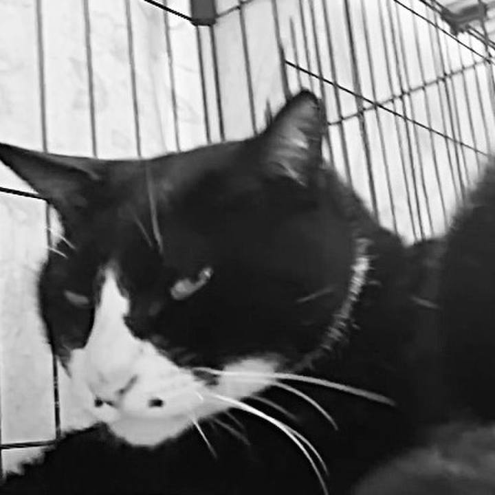 Edc2211f eff7 4f01 9237 4b29ff38688c 1747132429843