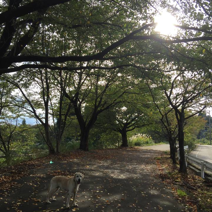 Edc25c16 7f04 4312 9e3d da7cb6129e9a 1539671852286