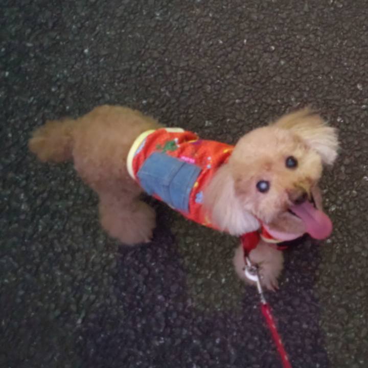 Edc2681b 1b81 4d5e 8b29 6da9f1145e52 1661513444432