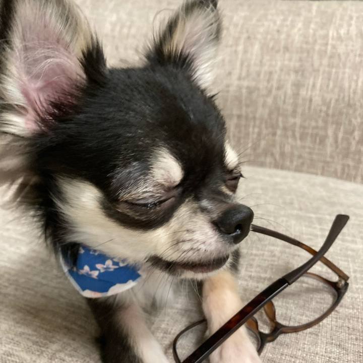 Edc2a1f6 4136 4ec0 a9d0 10351d682609 1599279846134