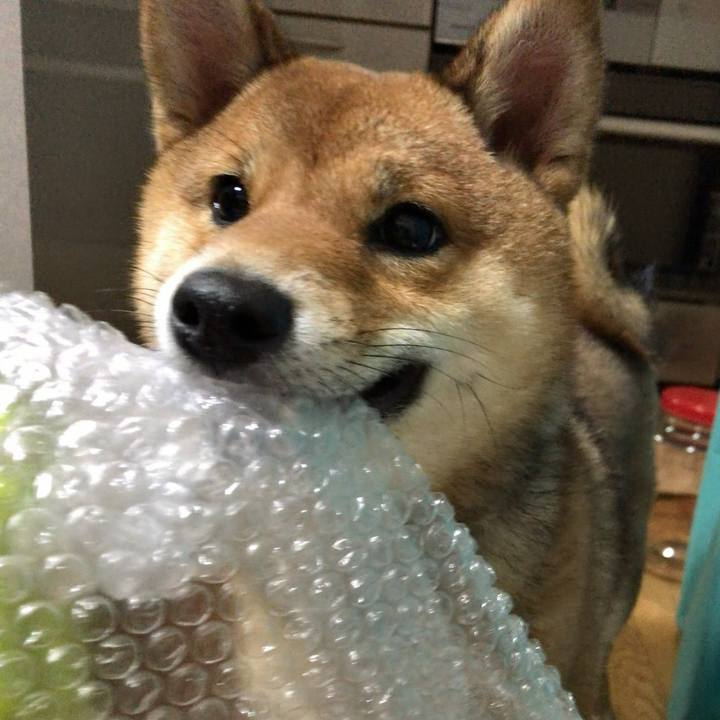 Edc2adc3 f490 4aab bd0e dfe65cd6e4b2 1517478809477