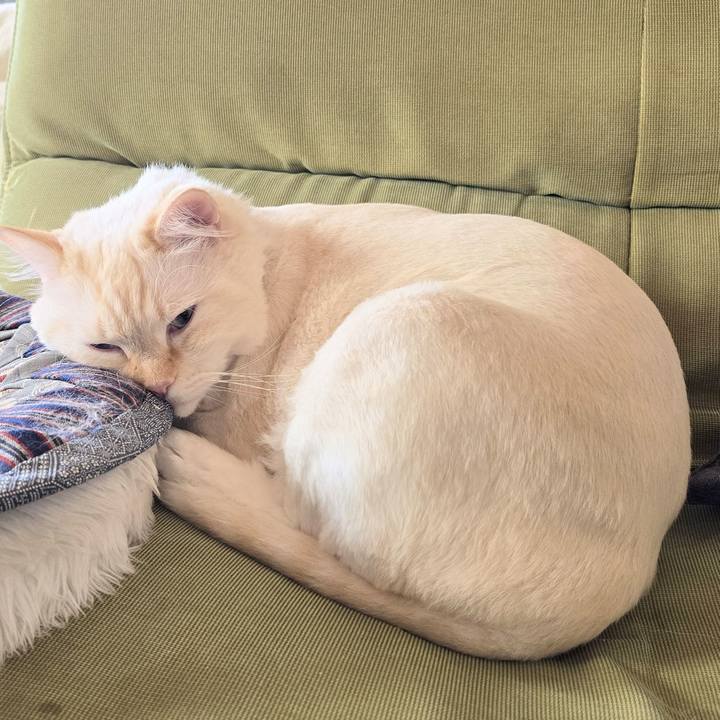 Edc2c902 5974 4aa0 bd03 a0ff68566fb4 1751859929366