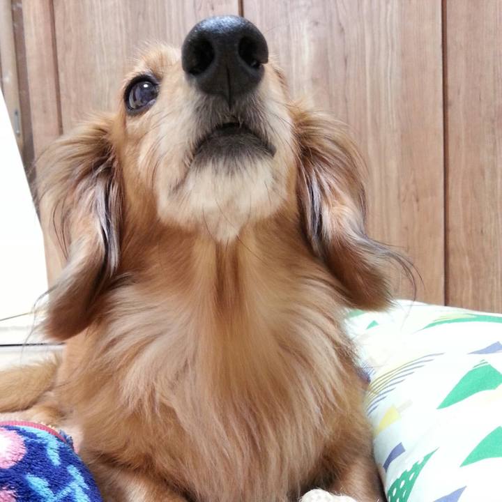 Edc2d4aa d8a1 41cf 97c6 e1003b490ba7 1552053272496