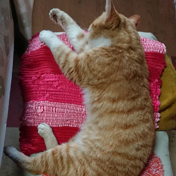 Edc2e0f7 be73 49aa 8a4f 985f902b2784 1554612692401