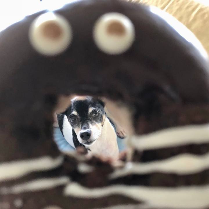 Edc301d3 2d4b 4c39 a23e ebaefd7a7468 1686571178935