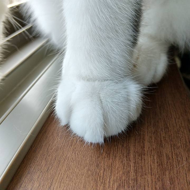 Edc30b73 aaea 45e8 a76f ff5d72c440c6 1599782405175